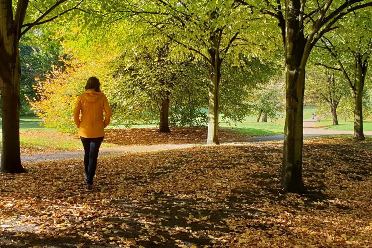 "Our study thus implies that expanding urban green spaces could promote good mental health."