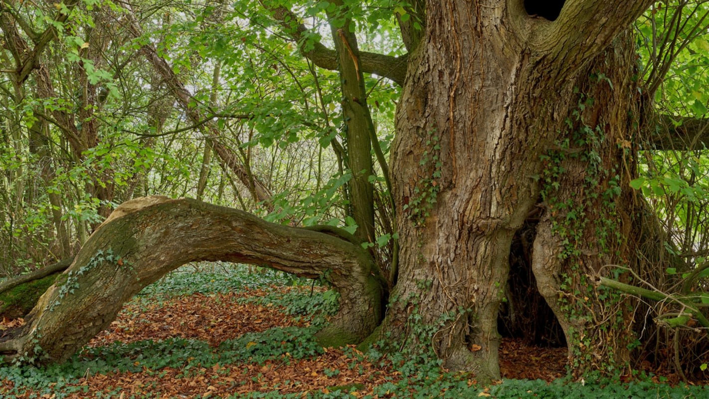 "Shameful to see people have little respect for the environment."