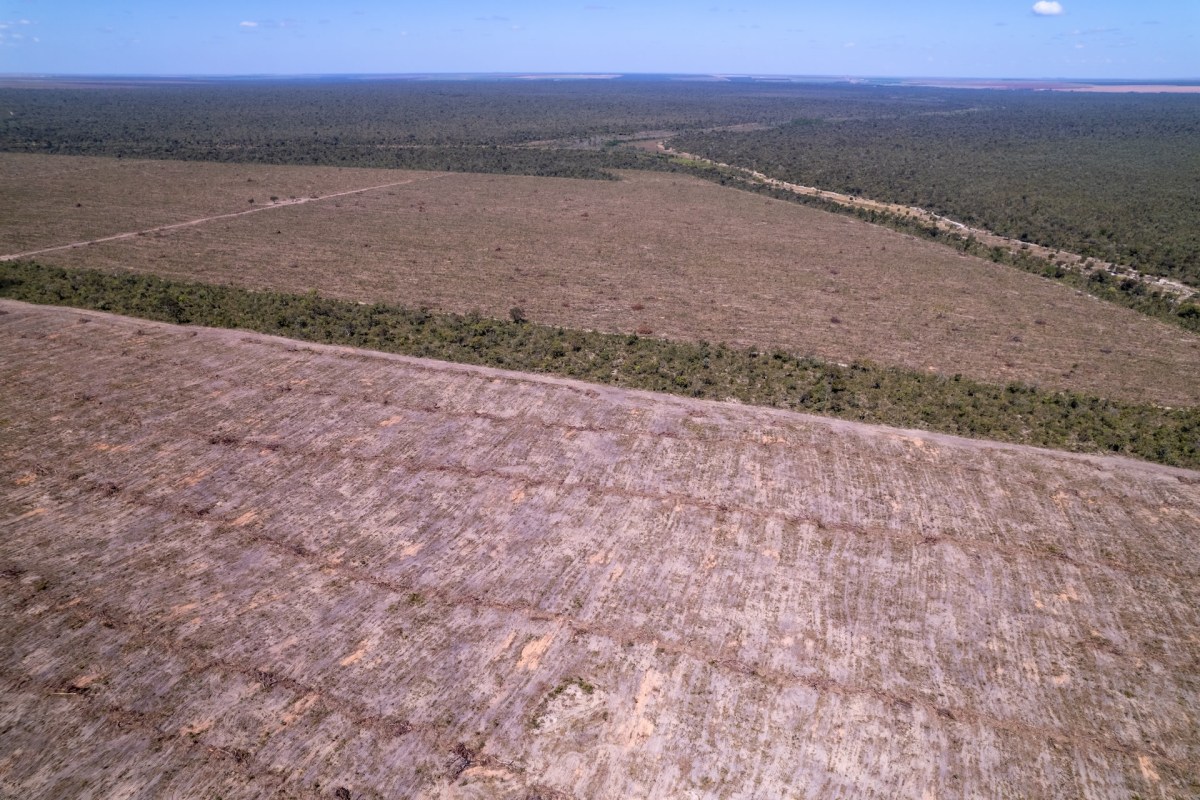 While there have been some positive developments in curbing rainforest destruction, the continued loss of these vital ecosystems poses a significant threat to our planet's health.