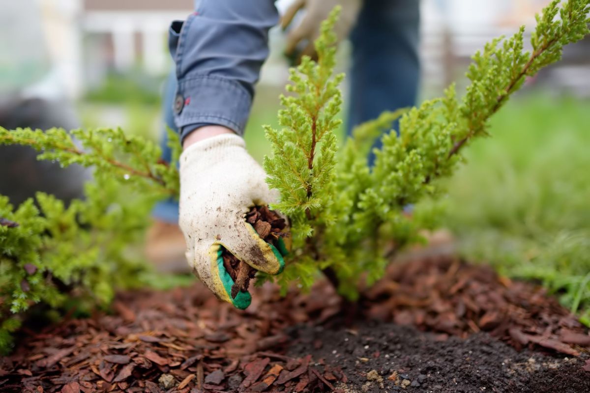 "I'm still ripping out shreds of weed barrier 18 years after buying this house."