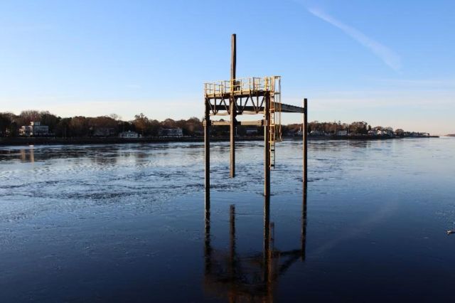 "Tidal energy is an important piece of the mix."