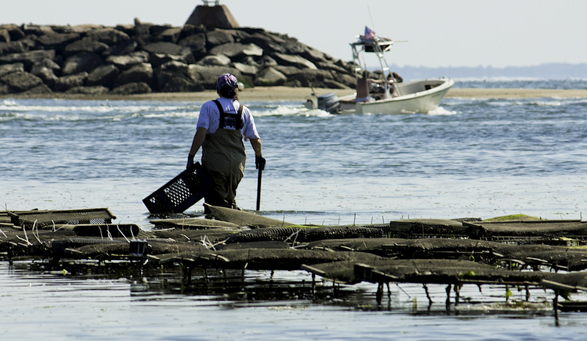 This is just one of several recent wins for the Chesapeake Bay Program.