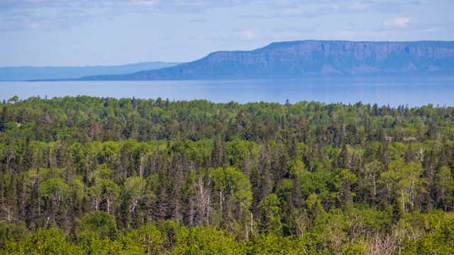 "These alleged crimes threatened the safety of park visitors, employees, and the ecosystem."