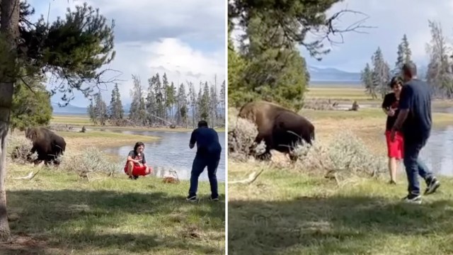 "These people were lucky that they didn’t get charged at being that close!"