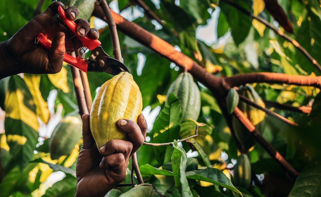"We treat it as food, as it should be treated, and give it the value it deserves."