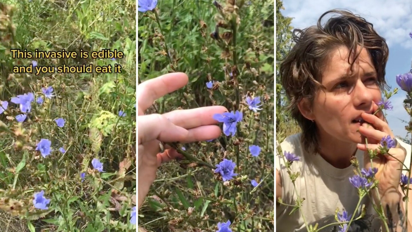 "You can put these flowers into your salad or into your smoothies."