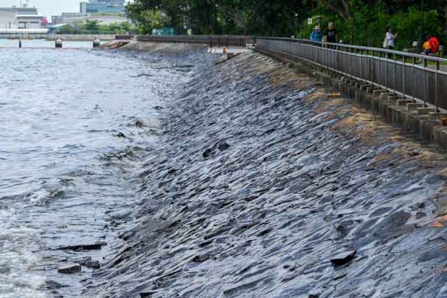 The incident highlights why avoiding the use of dirty fuel to power marine vessels is so important.