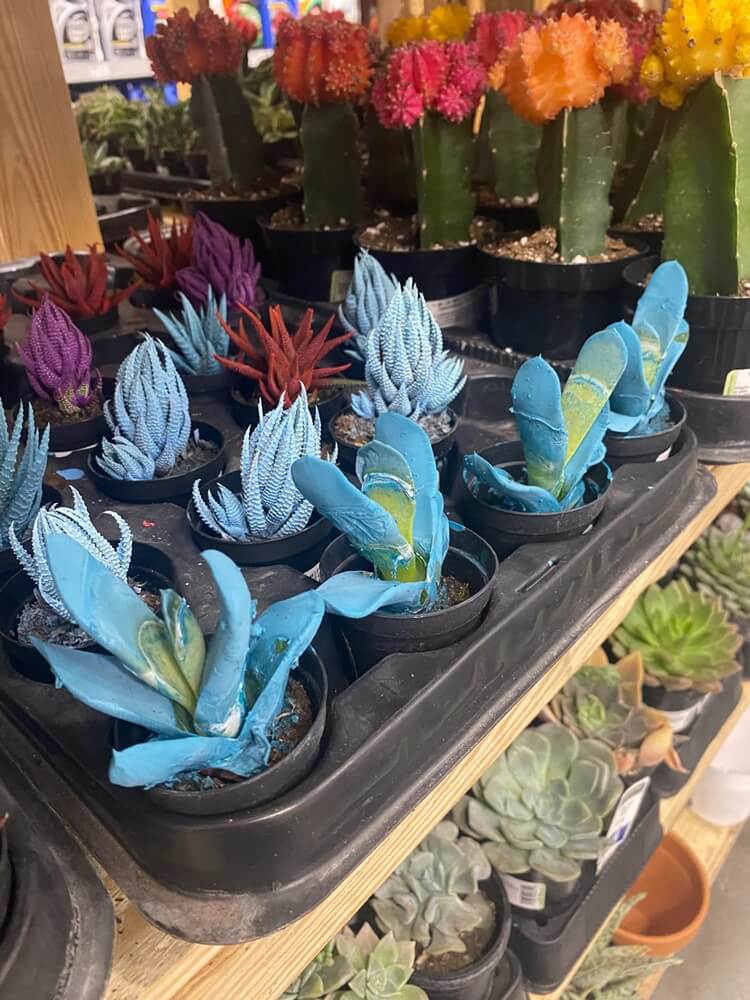 "We need better plant education."