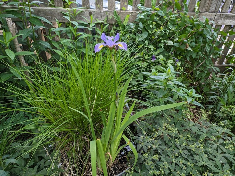 "I'm going to show this to my gardens so they understand what they are supposed to do."