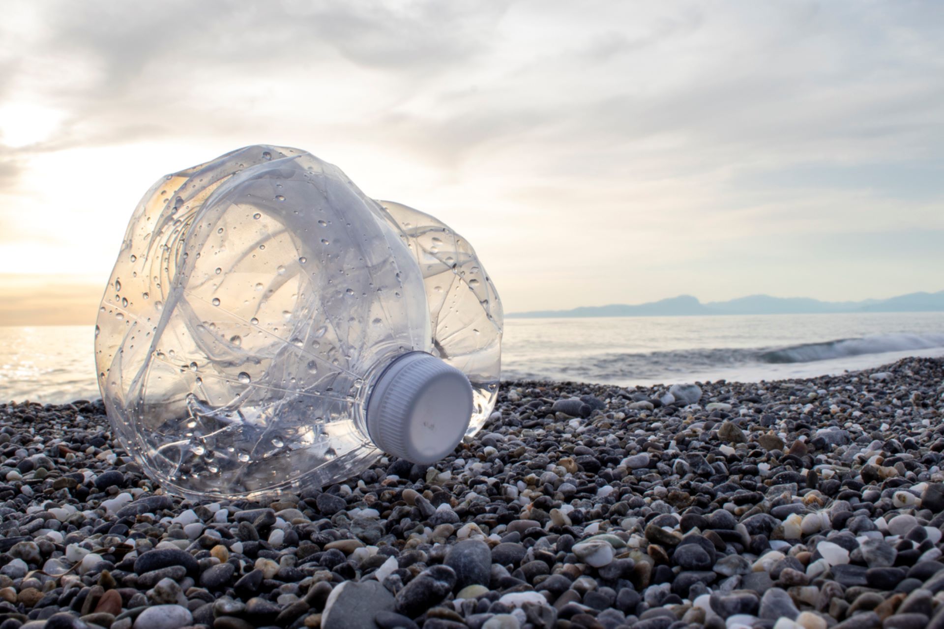 "By knowing the effect of different types of plastics on the environment, we can make better choices."