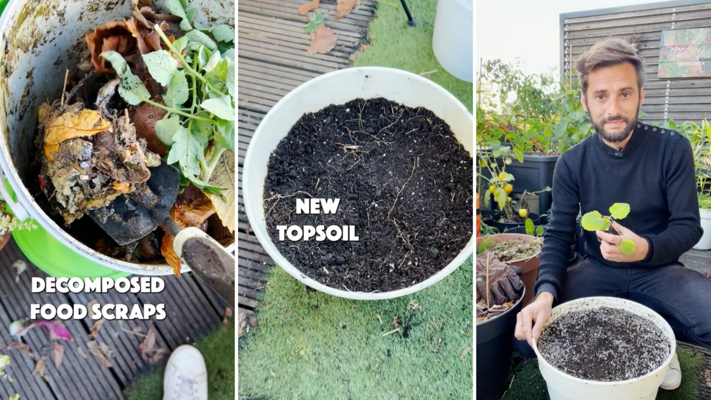 "I have a balcony garden so I have to reuse soil."