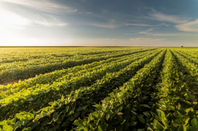 This method could allow farmers to become less dependent on traditional nitrogen-based fertilizers.