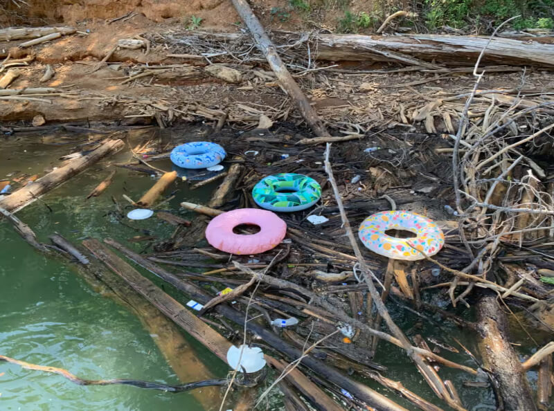"[We are] working with the US Forest Service and our students to remediate the damage and hopefully prevent similar actions in the future."