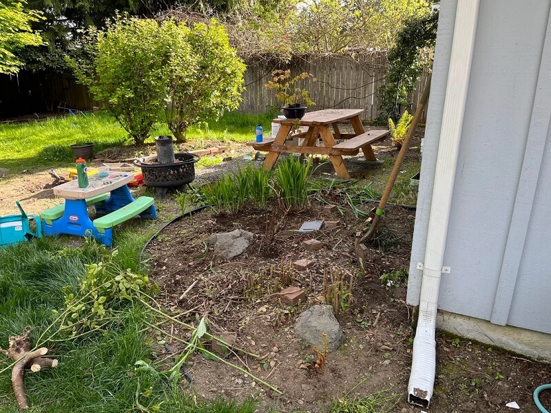 "We removed basically everything and have turned it into a native bed."