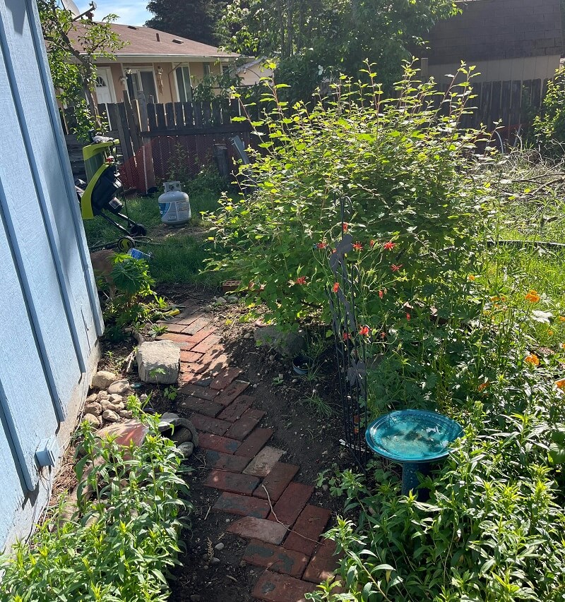 "We removed basically everything and have turned it into a native bed."