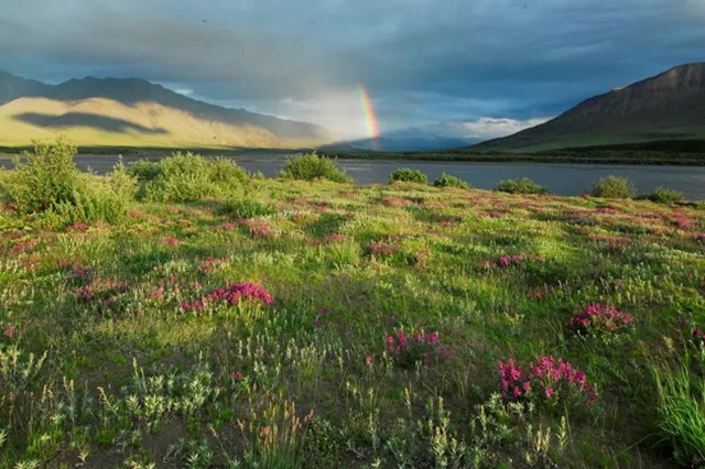 "Alaska's majestic and rugged lands and waters are among the most remarkable and healthy landscapes in the world."