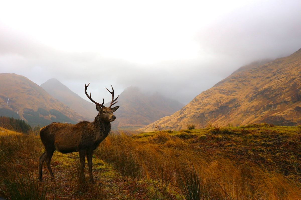 "Hopefully his life has highlighted the importance of respecting our natural world."