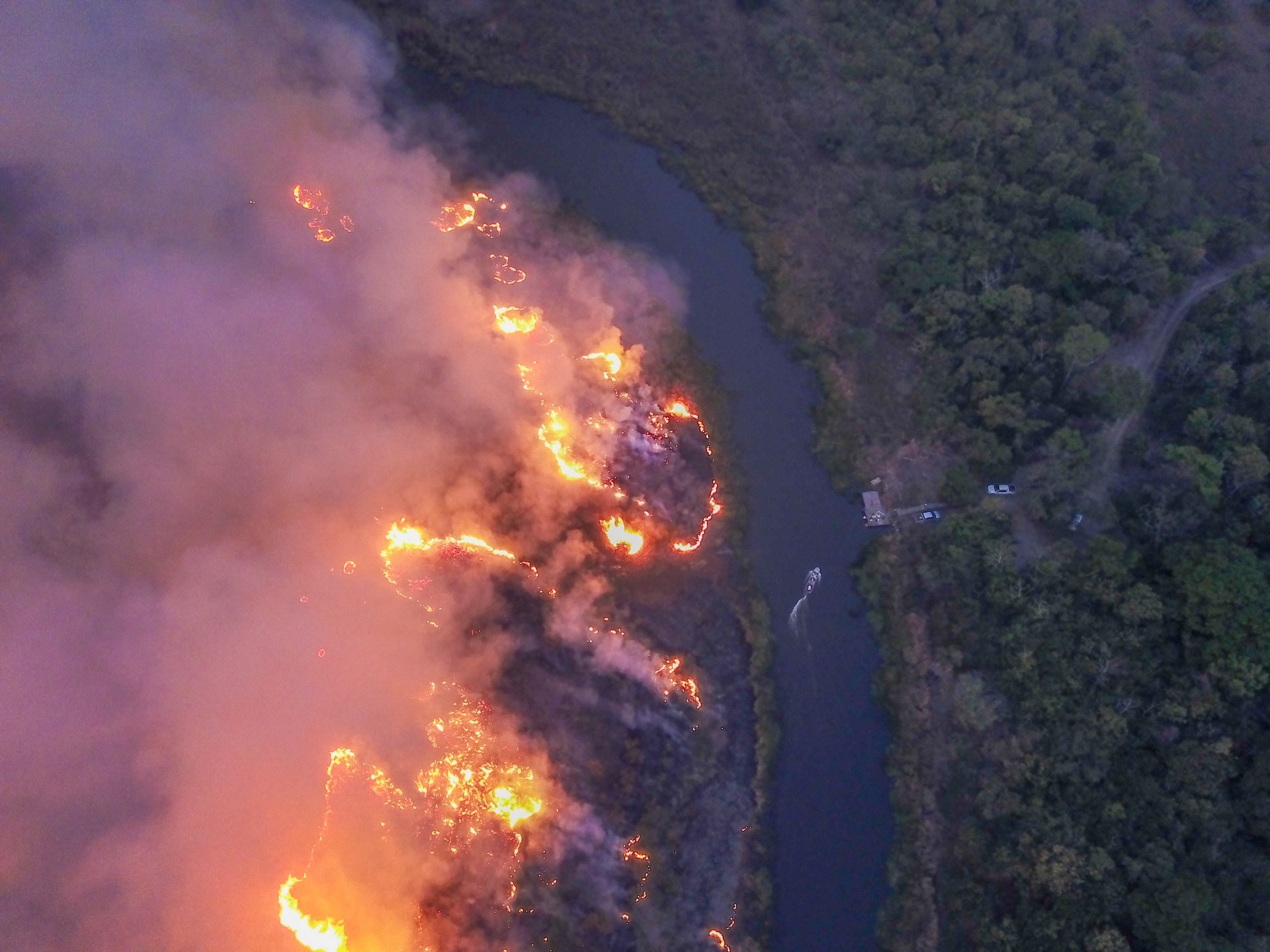 The Pantanal is home to more than 1.5 million people and nearly 5,000 species of plants and animals.