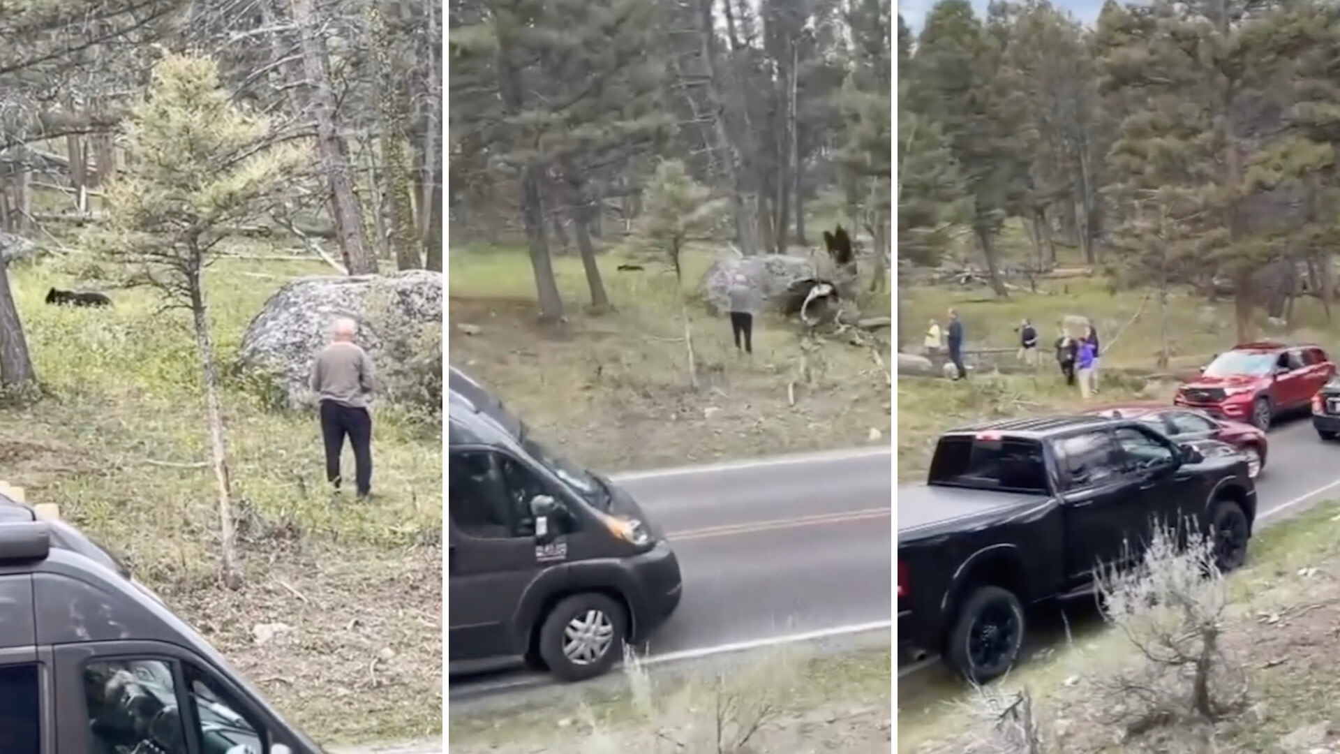 "We've never seen so many stopped in the middle of the road and out of their cars as this summer!"