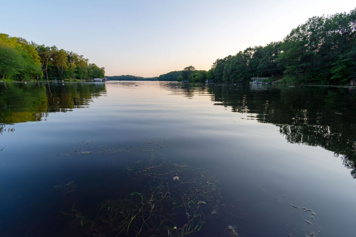 State officials advised residents to contact the Department of Natural Resources if they spot large quantities of dead fish and to not attempt to collect or handle them themselves.