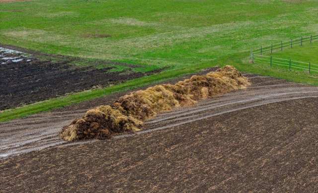 Fueling our world with biomass does come with some criticisms, but it's better than dirty fuels like oil, gas, and coal.