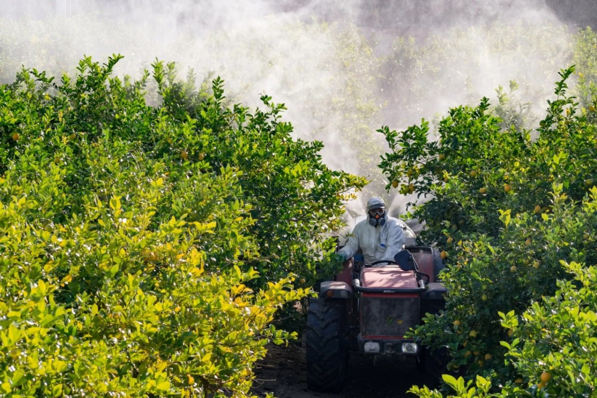 "The value of pollination of plants by insects is nearly incalculable."