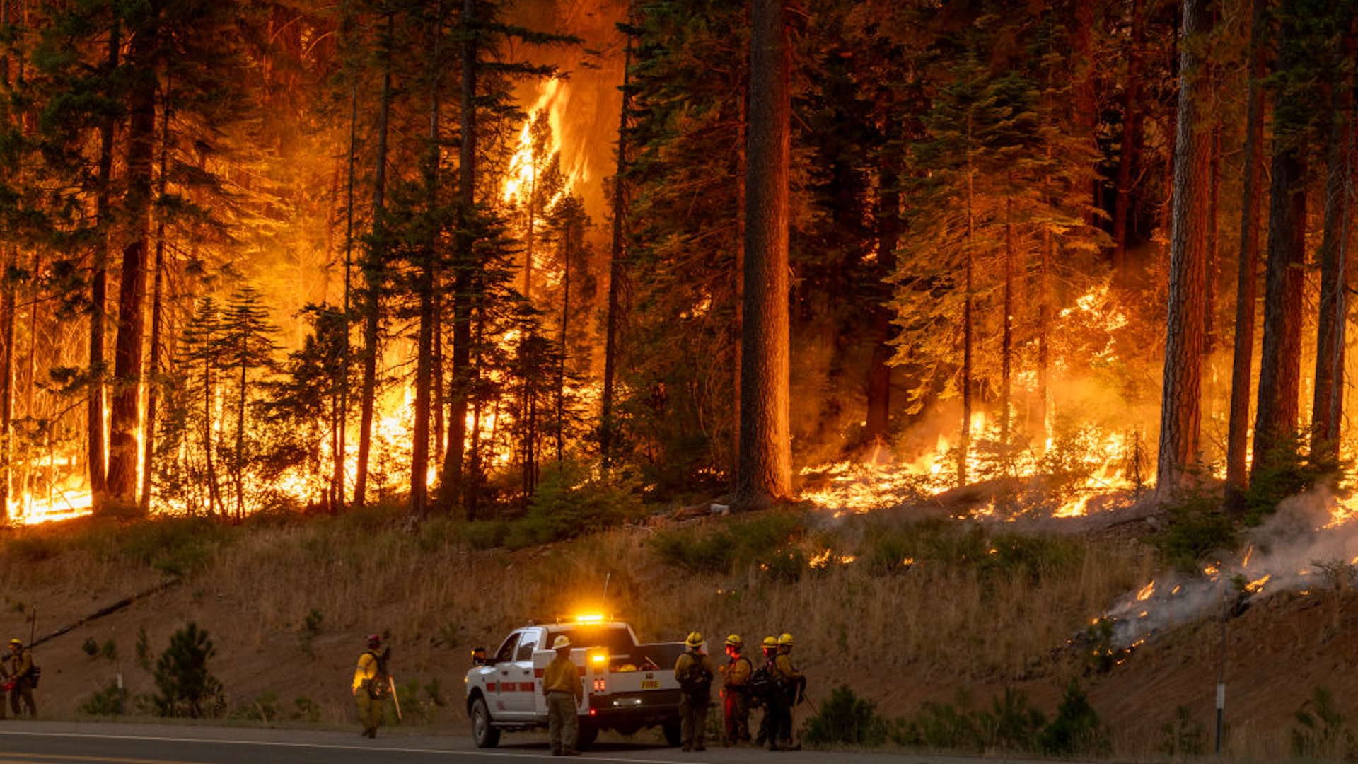 "Our winds and the recent heatwave have exacerbated the issue, consuming thousands of acres."