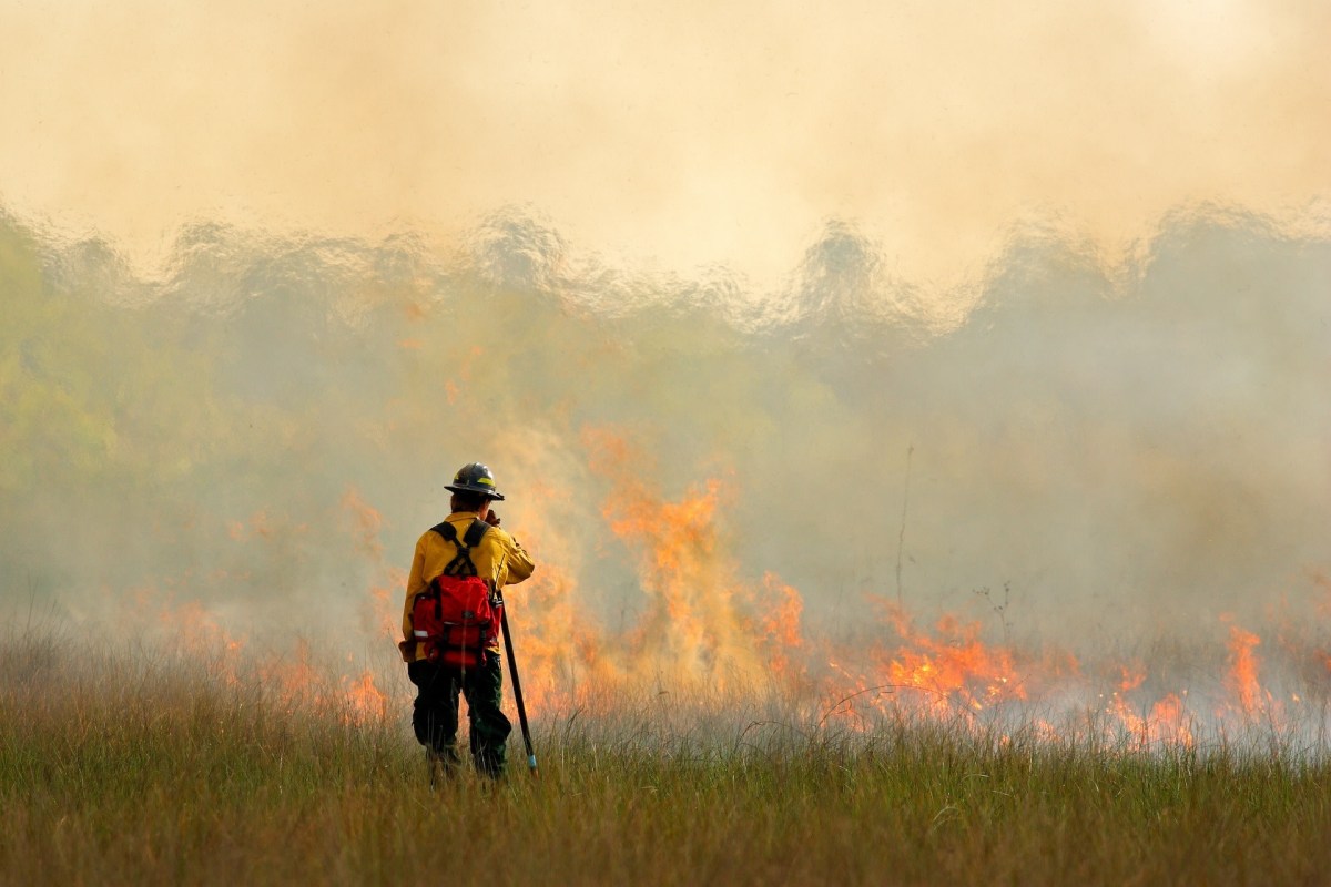 Parks Canada noted that occasional rain has helped suppress the fire's growth but expects conditions to become hotter as the calendar flips to August.