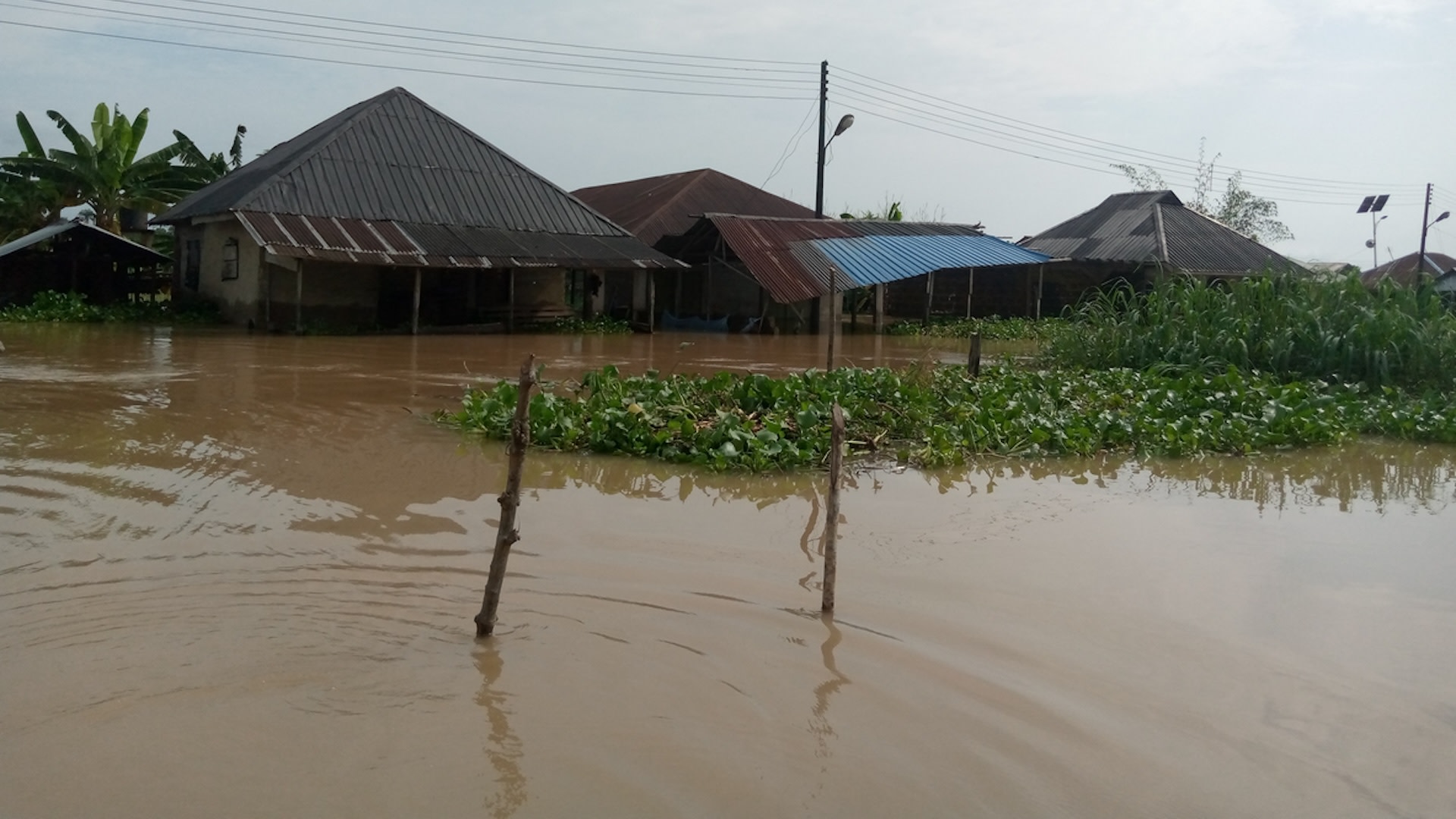 "We are calling on states and local government councils, to intensify and step up efforts to avert flood-related disasters in their domains as we approach the peak of the flooding season."