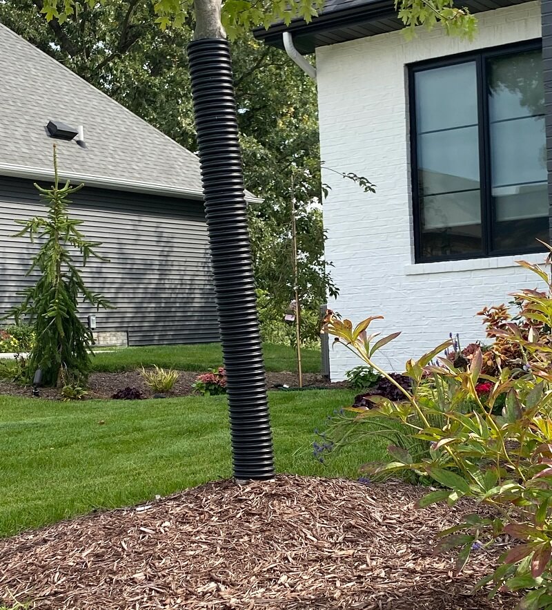 "Unfortunately our landscapers were picked by our contractor before we bought the house."