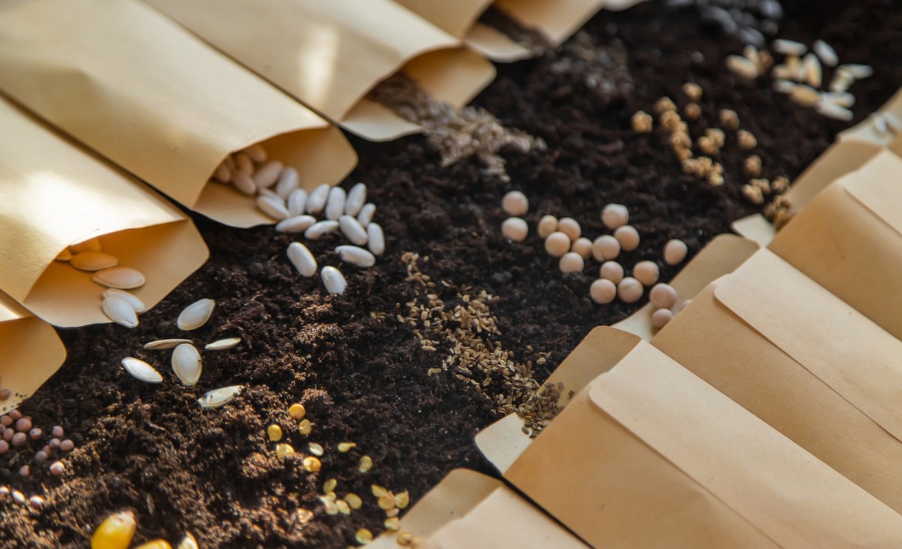 The living seed bank initiative brings significant benefits to the farming community and Indigenous peoples.