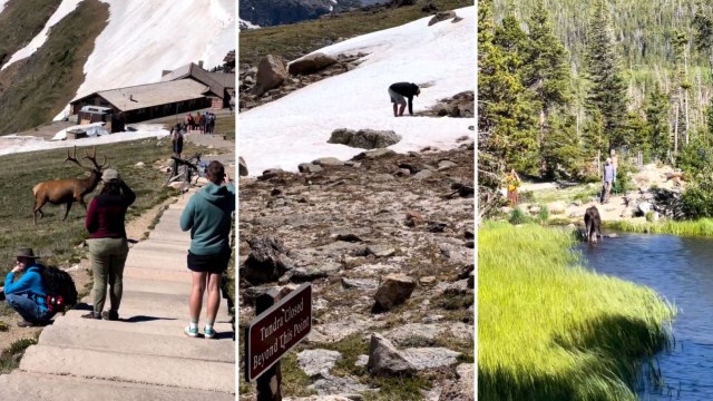 "We need more rangers writing more tickets to people destroying the natural resources in our national parks."