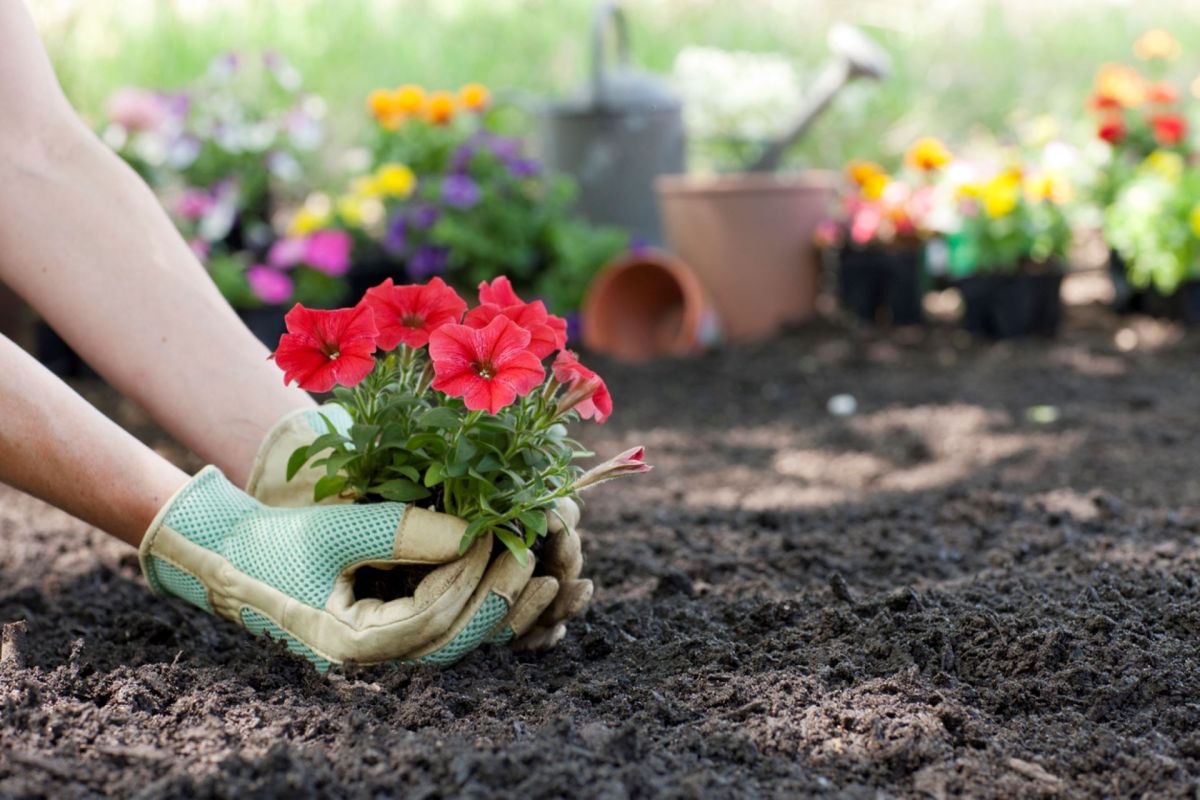 This research highlights the potential of integrating more greenspace into our living environments and communities.