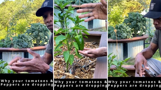 "I'm a new gardener so thank you."