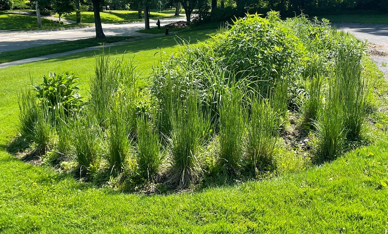 "I can't believe that I'm the house with this beautiful garden."