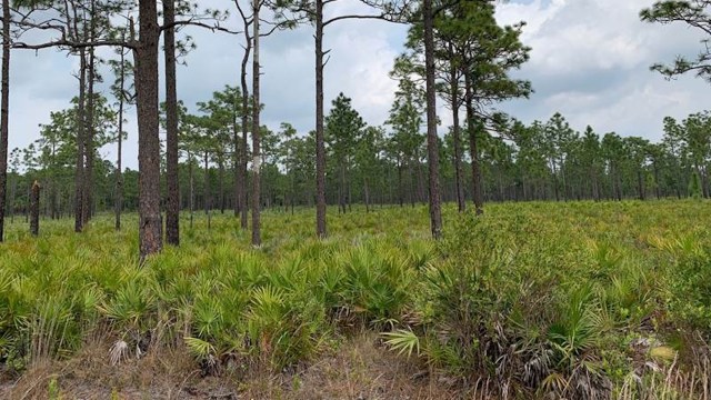 "To conserve and restore our prairies for future generations."