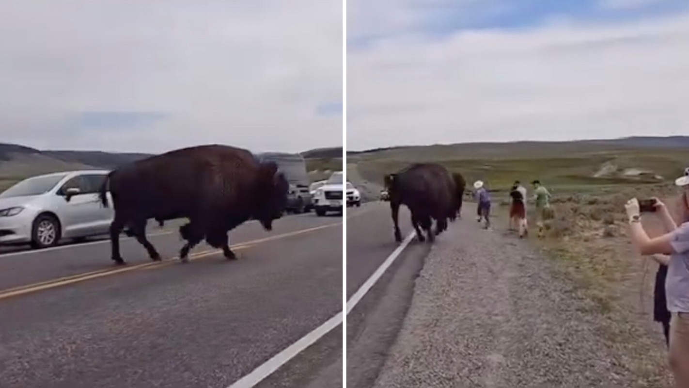 "They need to keep a ranger there at all times to arrest people like this."