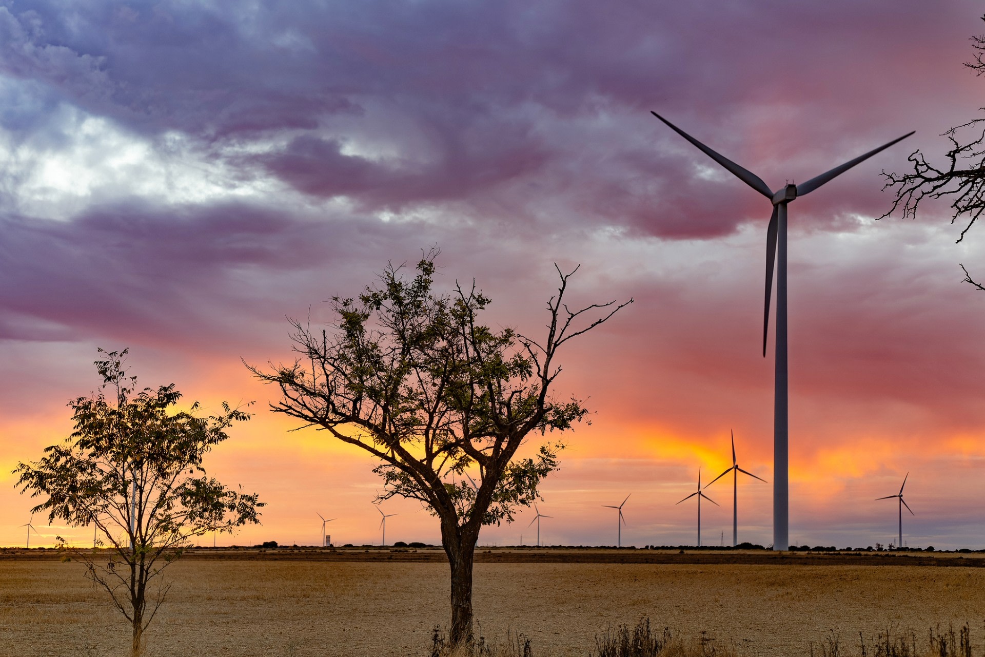 The firm collects and repurposes mid-sized, standalone wind turbines ranging from 400 to 900 kilowatts.