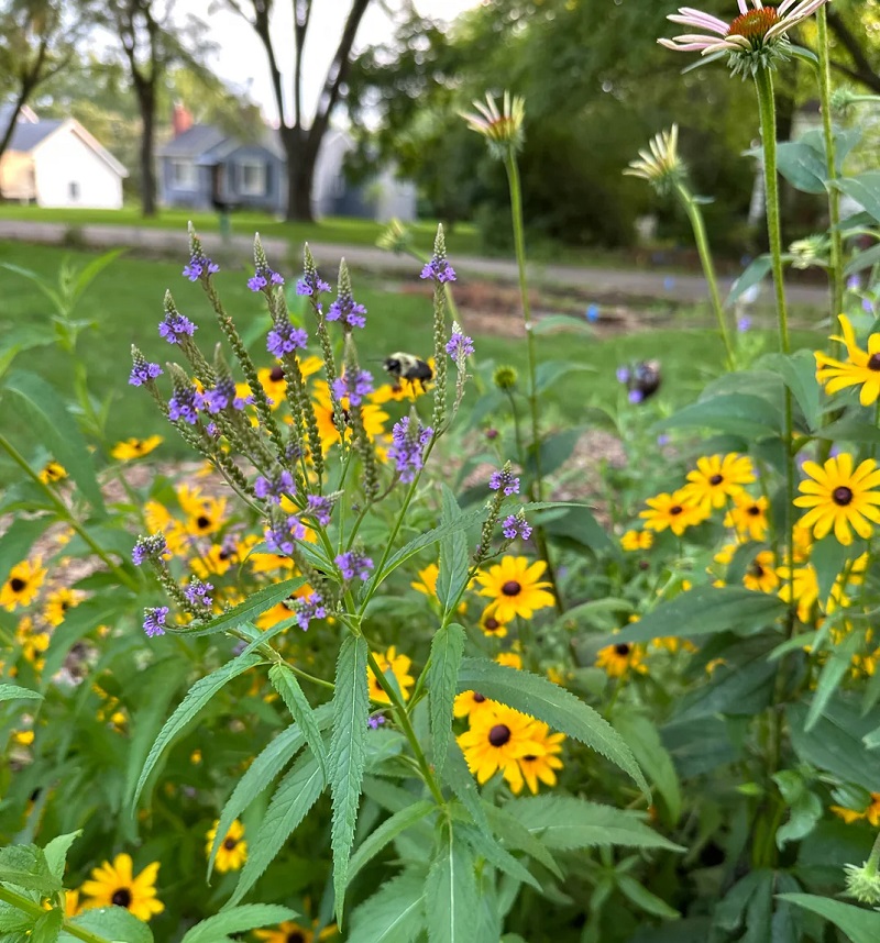 "I can't wait to see it in bloom."