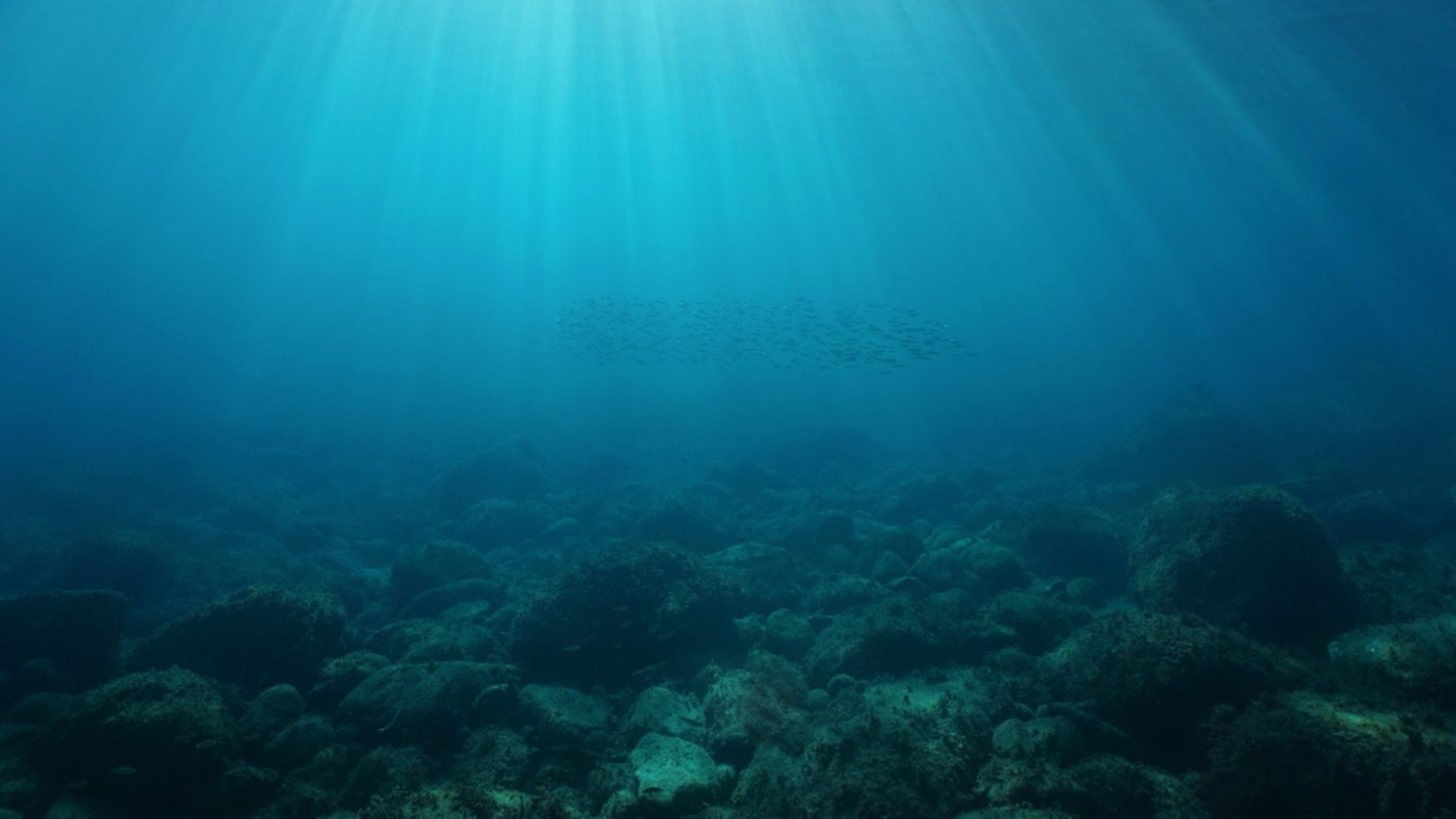 "The impact of plastic pollution is growing even in parts of the deep ocean never seen by humans."