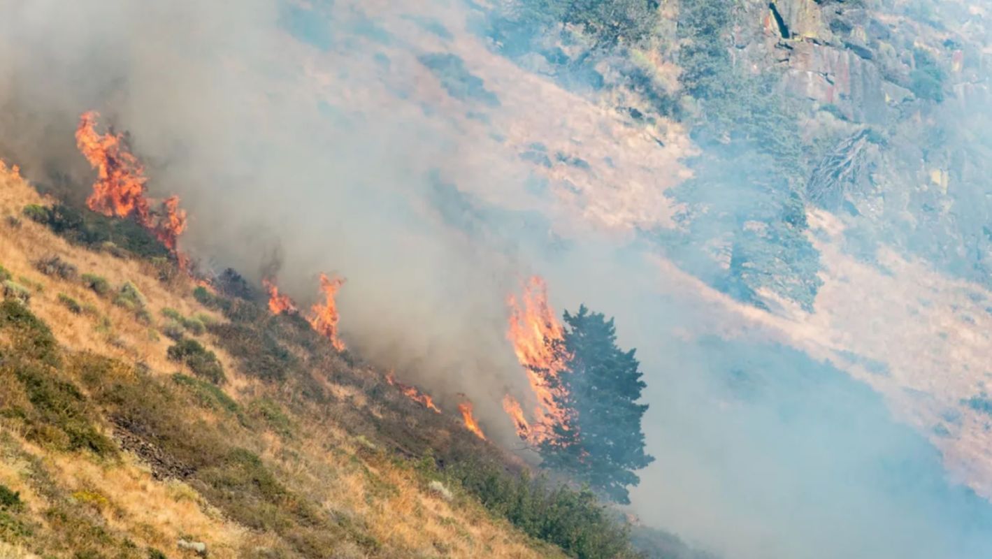 "The Oregon structural fire service, our out-of-state firefighters, and our wildland partners are working relentlessly around the clock."