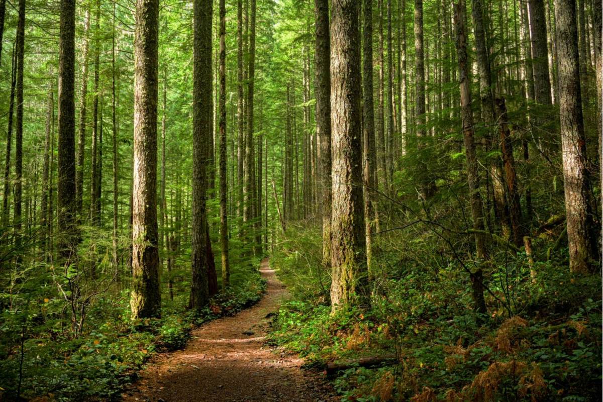"It's by introducing people, and children specifically, to the natural world that you create caring for the landscape around us."