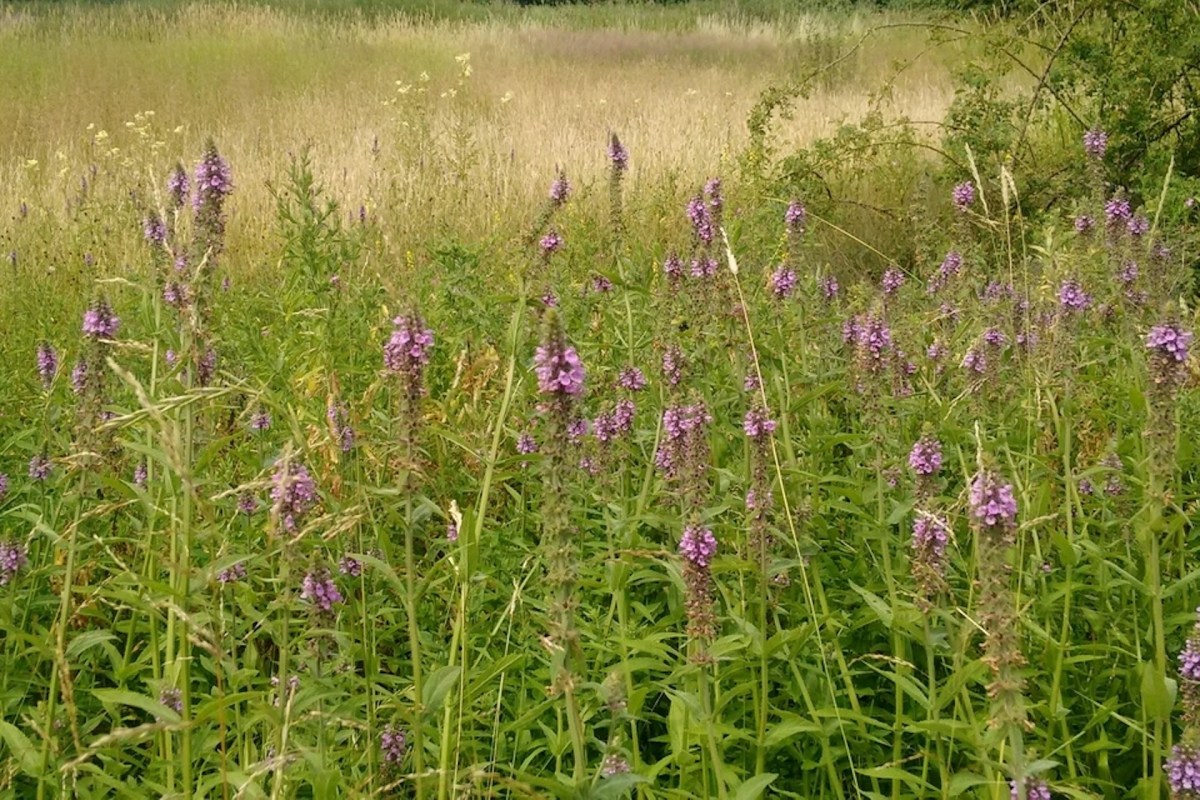 "When I started working ... I would have found it very difficult to predict where we are now."