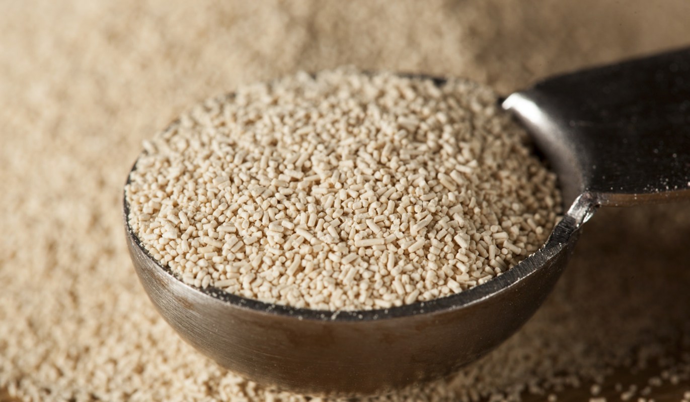 "The fact that we can make vitamins and protein ... without using any land is exciting."