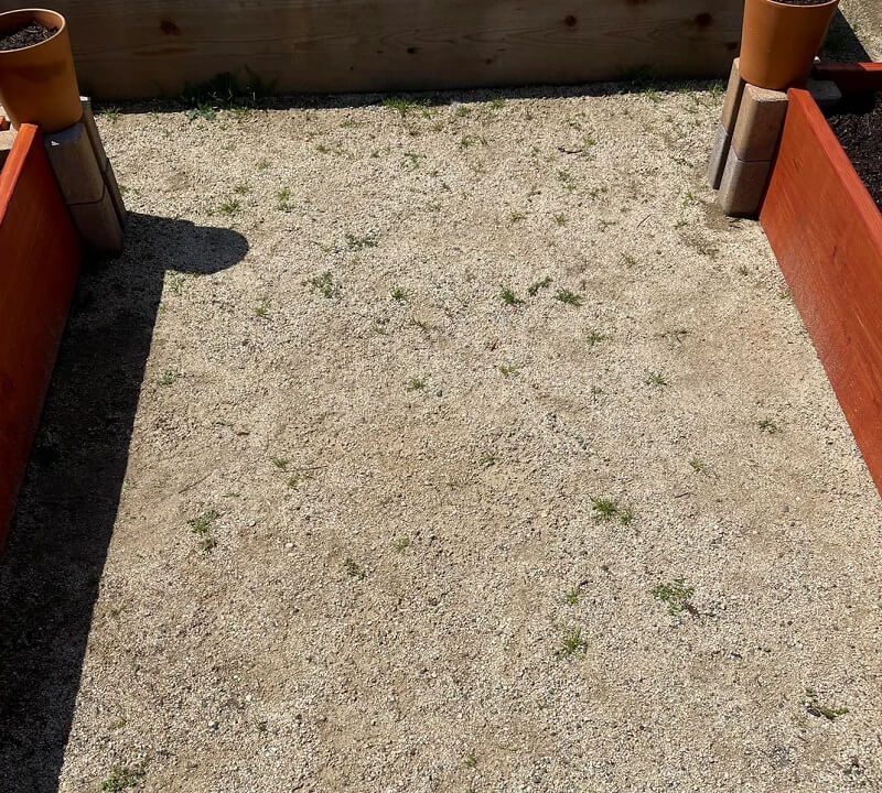"I'm not at all opposed to manually weeding, but I guess I don't wanna have to dig these suckers out by hand every 2 weeks for eternity."