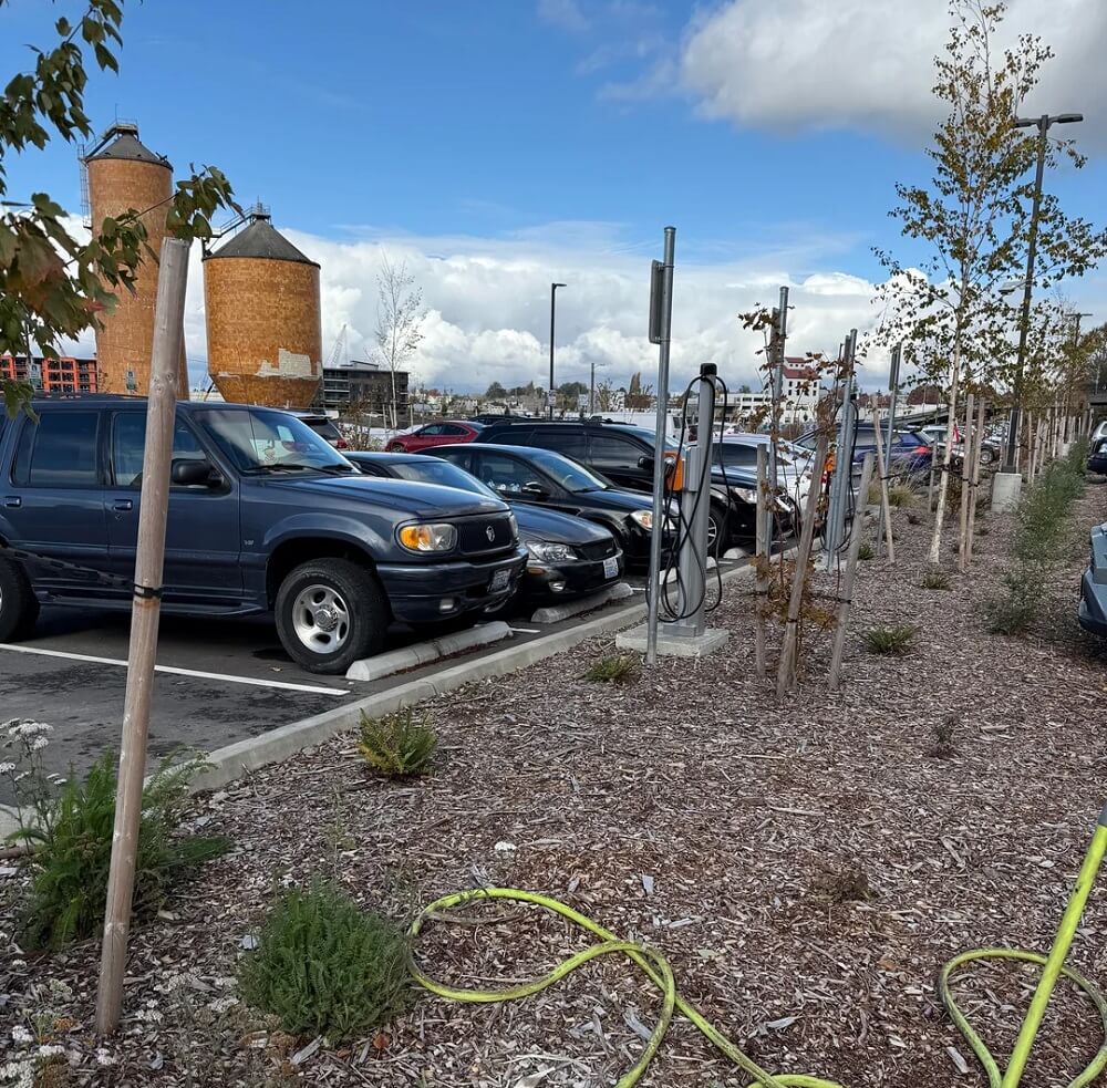 These stunts collectively can discourage drivers who are weighing the switch to an EV.