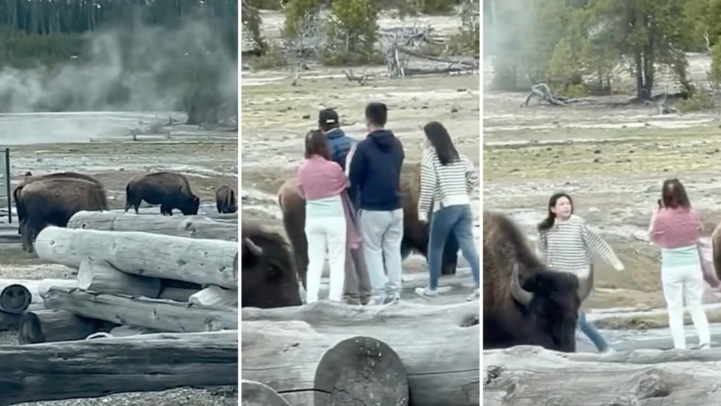 "It's pretty arrogant of humans to think they can have all power over the natural instincts of animals."