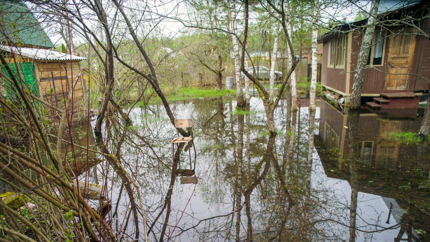 "Water filled up halfway up my back yard, creating my own lake."
