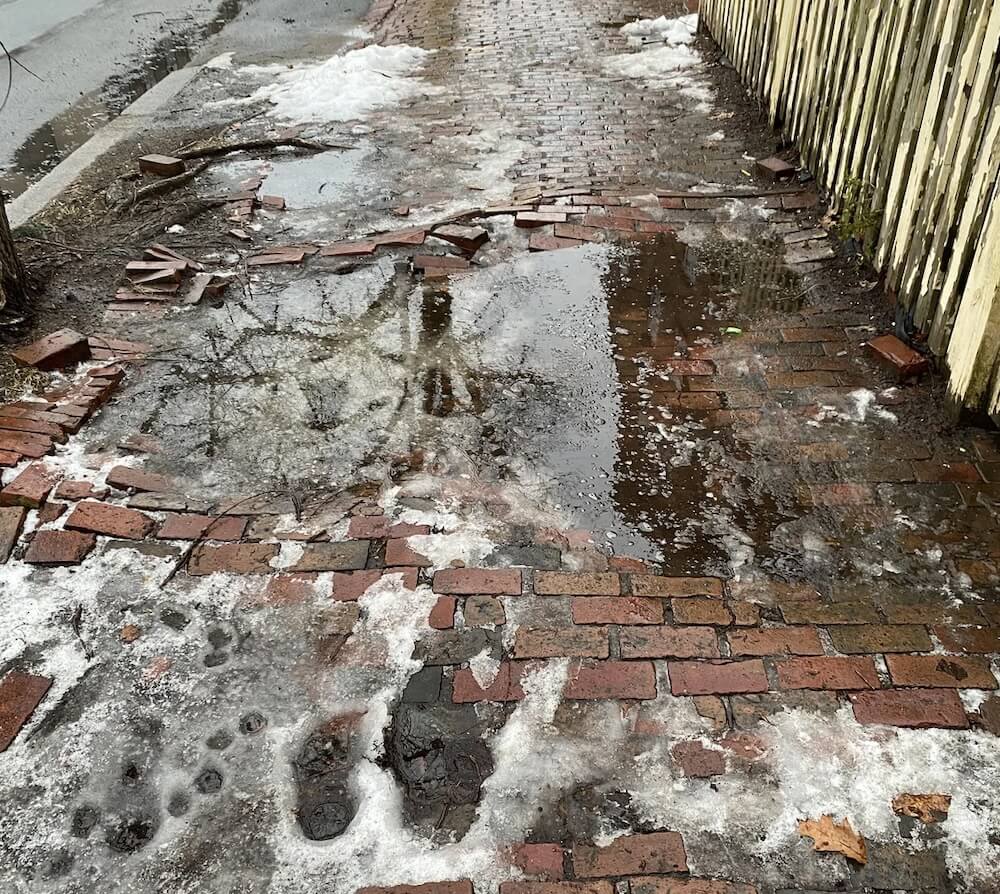"We're basically just hibernating until the spring."