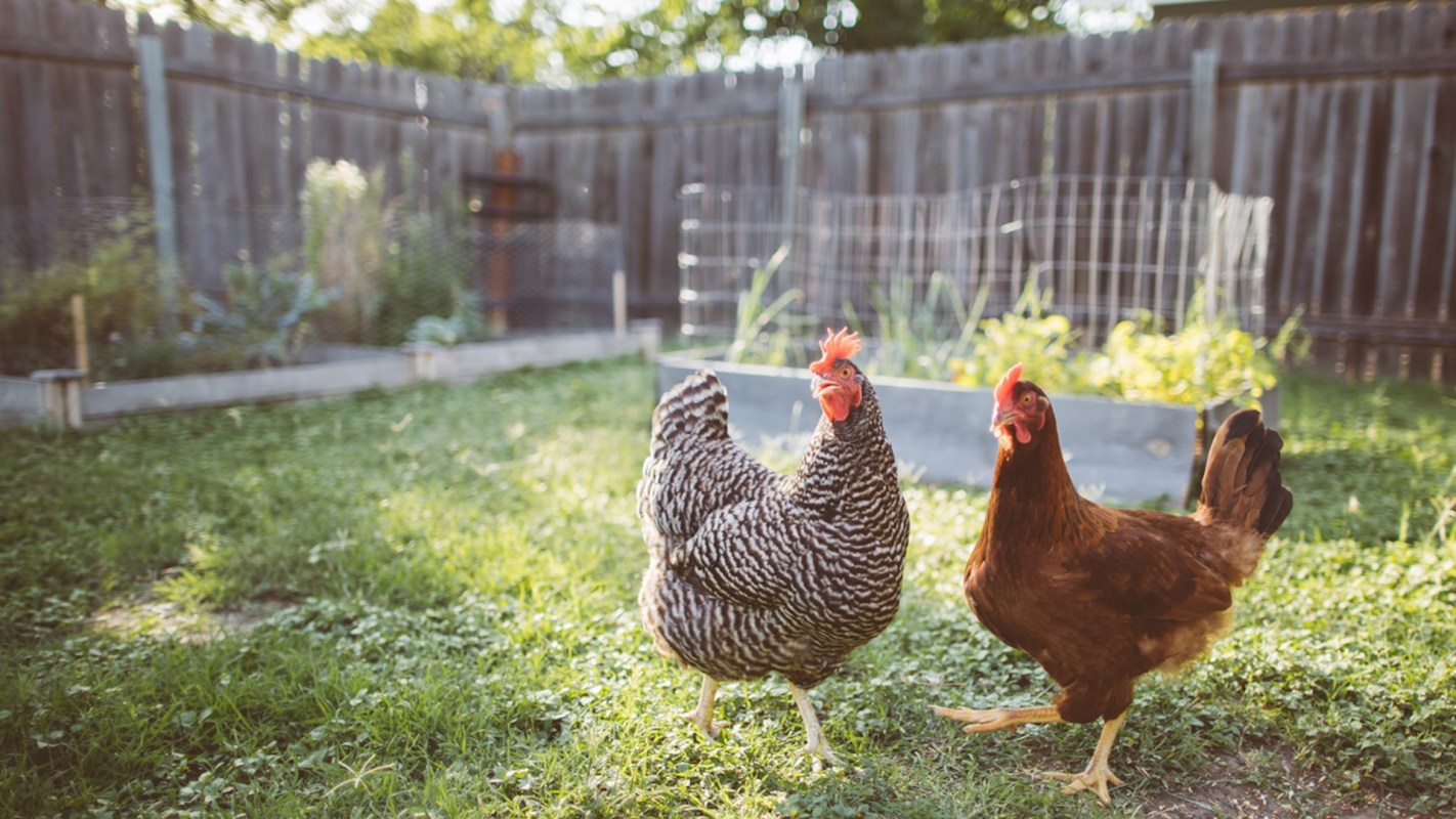 "Unfortunately, the HOA can honestly enforce any rules it seems 'beneficial' to the community."